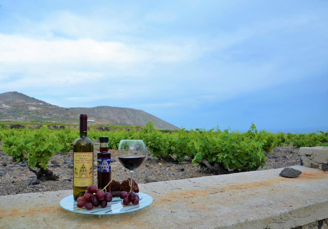 Vineyards Hill Villa ميغالوخوري المظهر الخارجي الصورة