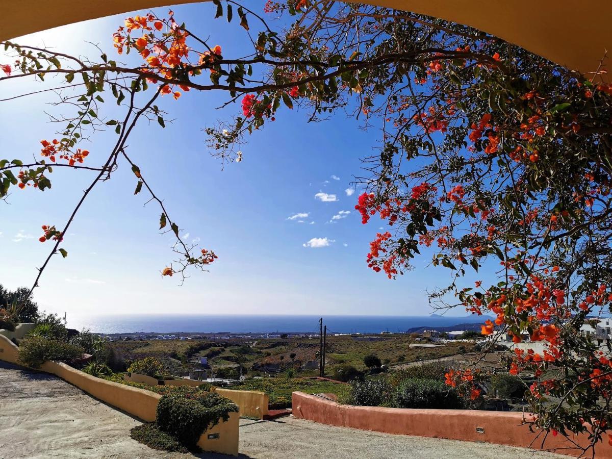 Vineyards Hill Villa ميغالوخوري المظهر الخارجي الصورة