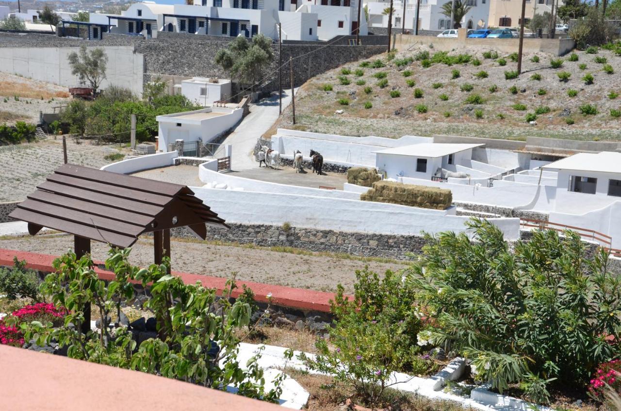 Vineyards Hill Villa ميغالوخوري المظهر الخارجي الصورة